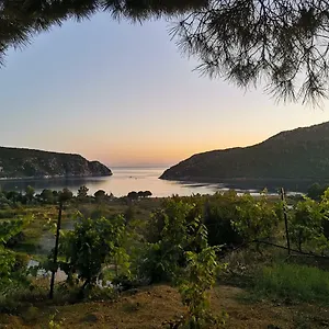 https://porto-koufo-resort-bungalows.hotelschalkidiki.net
